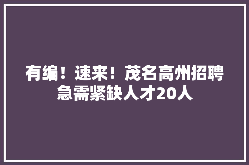有编！速来！茂名高州招聘急需紧缺人才20人,高州市天气预报未来15天。