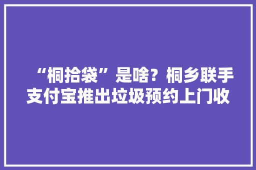 “桐拾袋”是啥？桐乡联手支付宝推出垃圾预约上门收受接收
