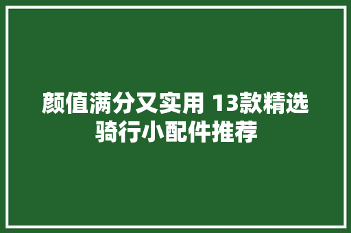 颜值满分又实用 13款精选骑行小配件推荐