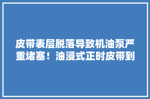 皮带表层脱落导致机油泵严重堵塞！油浸式正时皮带到底是不是个坑,机油5w-30和5w-40有什么区别。