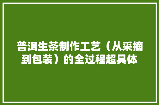 普洱生茶制作工艺（从采摘到包装）的全过程超具体