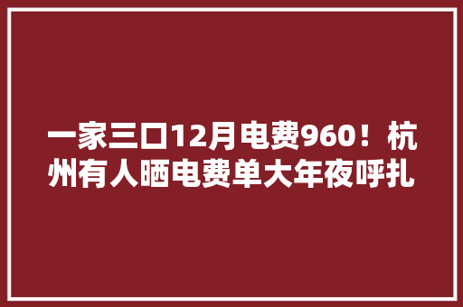 一家三口12月电费960！杭州有人晒电费单大年夜呼扎心亏得新年电费重回一档计价,电费补贴怎么查询。