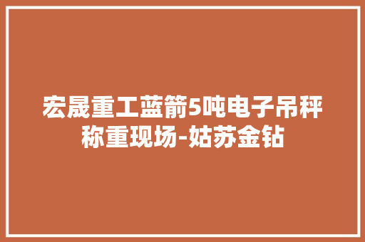 宏晟重工蓝箭5吨电子吊秤称重现场-姑苏金钻,电子吊秤十大名牌。