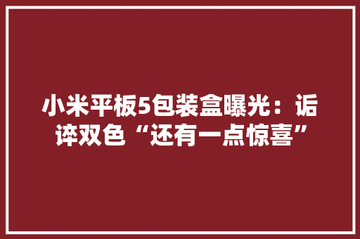 小米平板5包装盒曝光：诟谇双色“还有一点惊喜”
