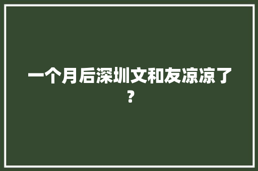 一个月后深圳文和友凉凉了？,深圳天气。