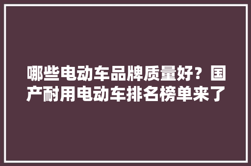 哪些电动车品牌质量好？国产耐用电动车排名榜单来了给出了谜底 哪些电动车品牌质量好？国产耐用电动车排名榜单来了给出了谜底 智能家居