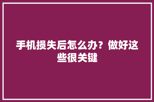 手机损失后怎么办？做好这些很关键,手机壁纸图片最新款2024版。