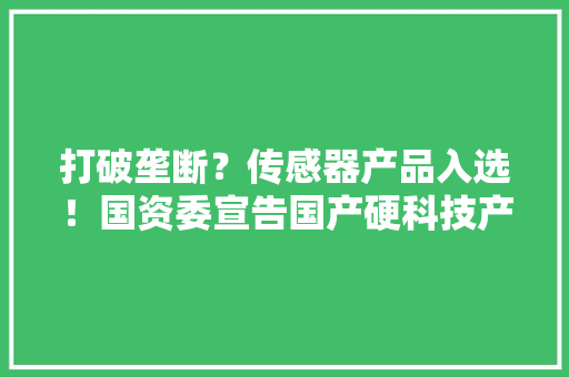 打破垄断？传感器产品入选！国资委宣告国产硬科技产品推荐目录！ 打破垄断？传感器产品入选！国资委宣告国产硬科技产品推荐目录！ 互联通信
