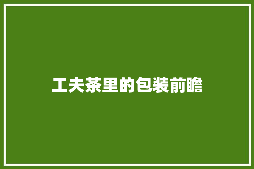 工夫茶里的包装前瞻,潮州旅游必去十大景点。