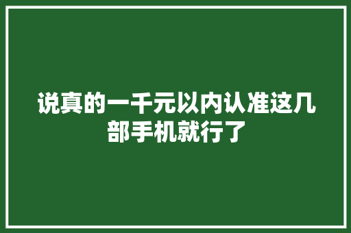 说真的一千元以内认准这几部手机就行了