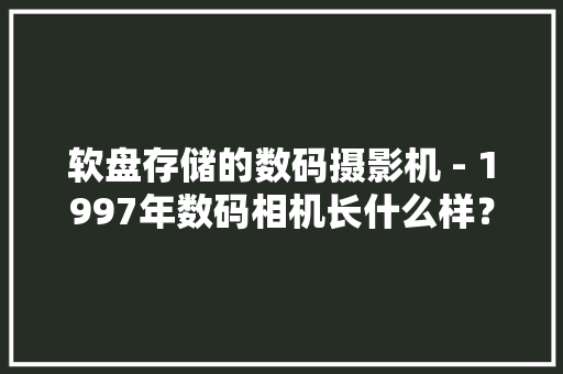 软盘存储的数码摄影机 - 1997年数码相机长什么样？,软盘是什么。