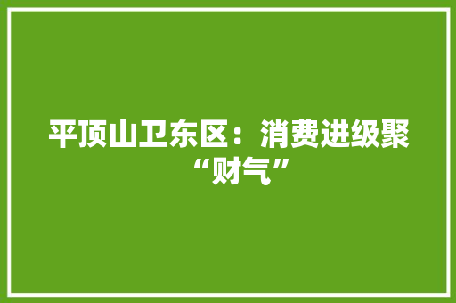 平顶山卫东区：消费进级聚“财气”