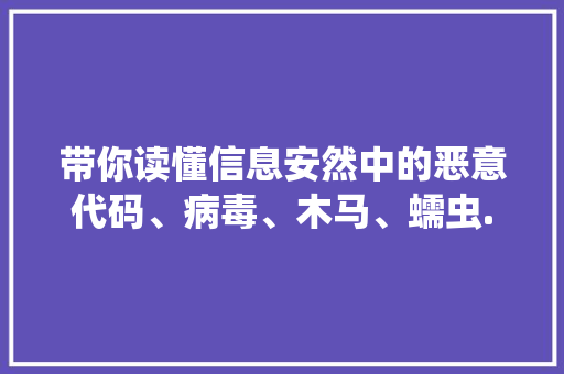 带你读懂信息安然中的恶意代码、病毒、木马、蠕虫......