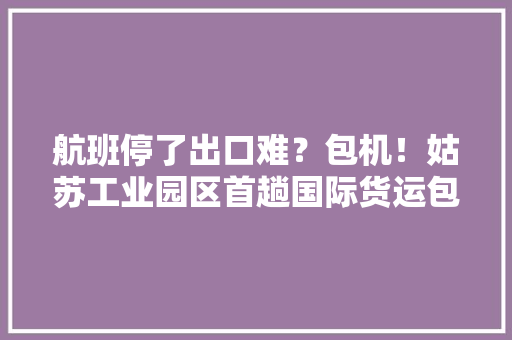 航班停了出口难？包机！姑苏工业园区首趟国际货运包机直飞德国