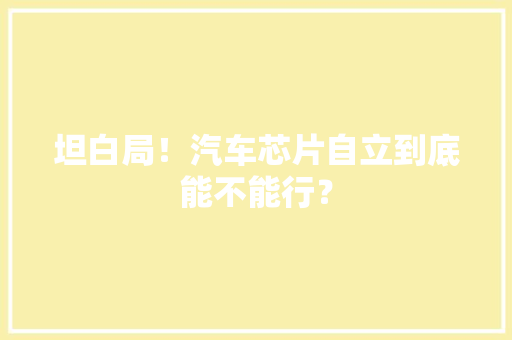 坦白局！汽车芯片自立到底能不能行？,芯片股票龙头前十名。