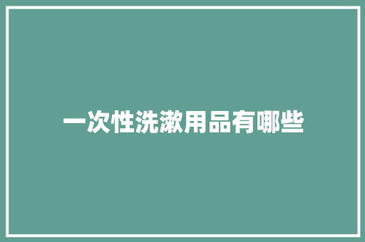 一次性洗漱用品有哪些