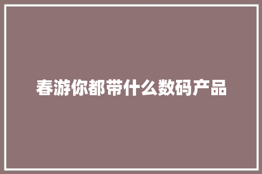 春游你都带什么数码产品