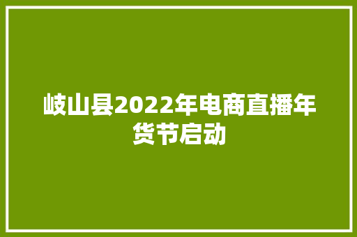 岐山县2022年电商直播年货节启动