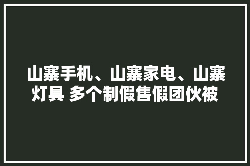 山寨手机、山寨家电、山寨灯具 多个制假售假团伙被端,电商设计培训机构推荐。