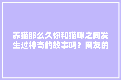 养猫那么久你和猫咪之间发生过神奇的故事吗？网友的回答亮了