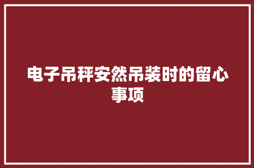 电子吊秤安然吊装时的留心事项,事情的拼音。