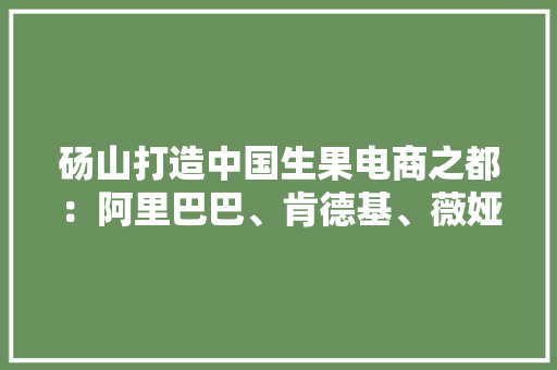砀山打造中国生果电商之都：阿里巴巴、肯德基、薇娅都来了