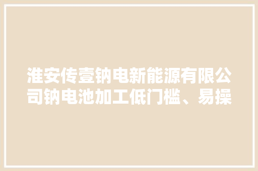 淮安传壹钠电新能源有限公司钠电池加工低门槛、易操作