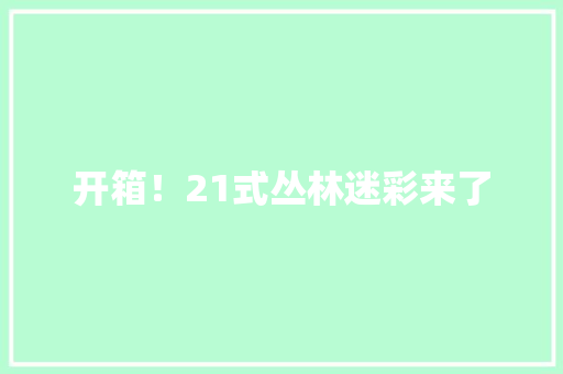 开箱！21式丛林迷彩来了