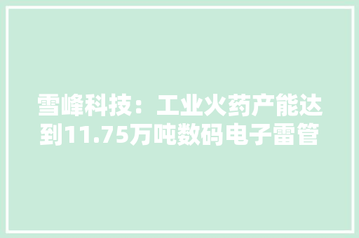 雪峰科技：工业火药产能达到11.75万吨数码电子雷管产能1890万发/年