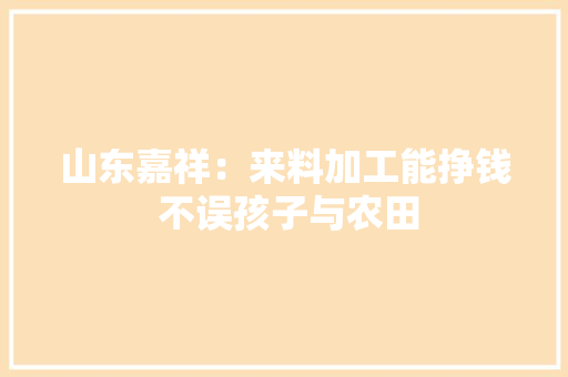 山东嘉祥：来料加工能挣钱 不误孩子与农田,村落的意思。