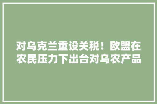 对乌克兰重设关税！欧盟在农民压力下出台对乌农产品进口限制