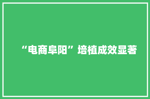 “电商阜阳”培植成效显著 “电商阜阳”培植成效显著 智能科技