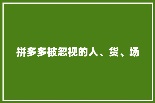 拼多多被忽视的人、货、场