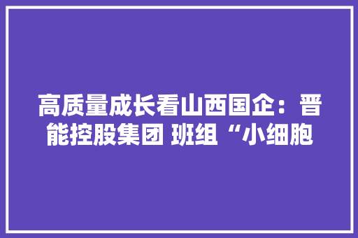 高质量成长看山西国企：晋能控股集团 班组“小细胞”激活企业“大年夜成长” 高质量成长看山西国企：晋能控股集团 班组“小细胞”激活企业“大年夜成长” 智能家居
