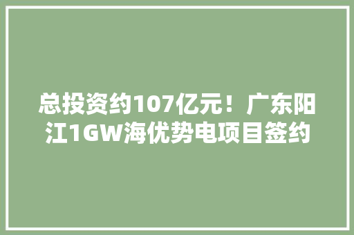 总投资约107亿元！广东阳江1GW海优势电项目签约,风电龙头股排名第一。