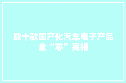 数十款国产化汽车电子产品全“芯”亮相