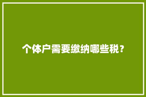 个体户需要缴纳哪些税？
