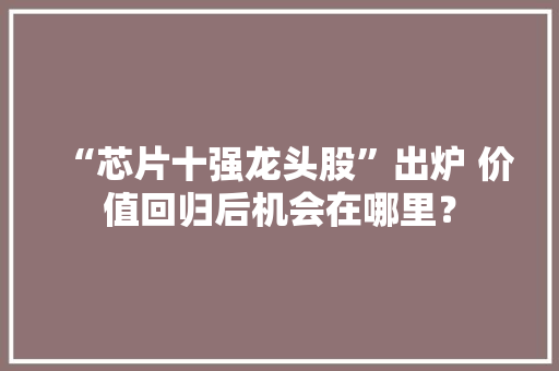 “芯片十强龙头股”出炉 价值回归后机会在哪里？