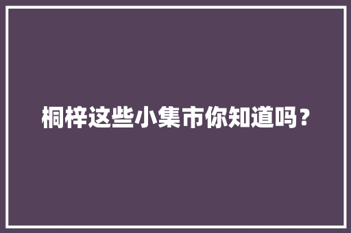 桐梓这些小集市你知道吗？