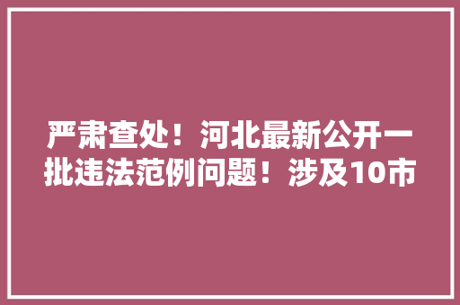 严肃查处！河北最新公开一批违法范例问题！涉及10市32县区