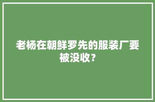 老杨在朝鲜罗先的服装厂要被没收？,老杨美食。