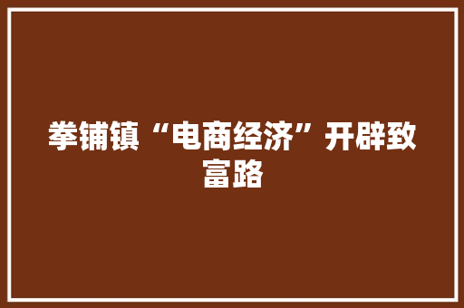 拳铺镇“电商经济”开辟致富路 拳铺镇“电商经济”开辟致富路 智能科技