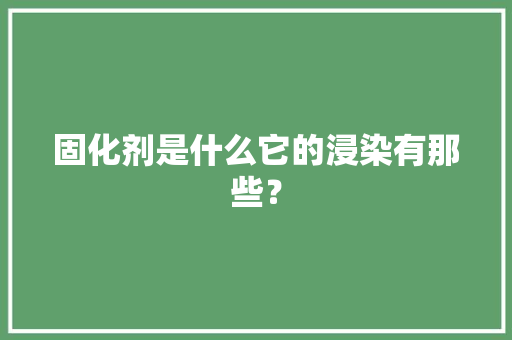 固化剂是什么它的浸染有那些？,混凝土回弹增强剂。
