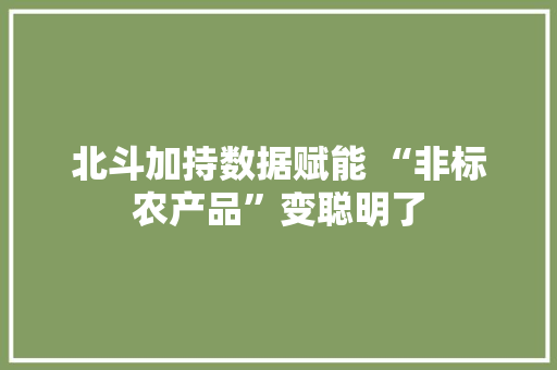 北斗加持数据赋能 “非标农产品”变聪明了