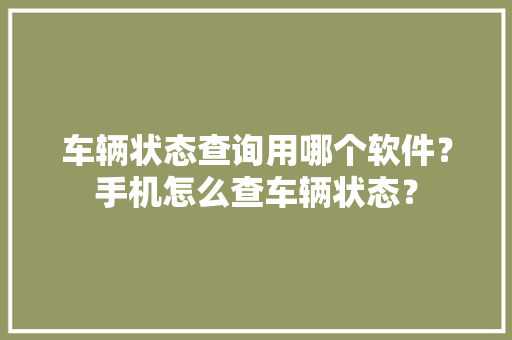 车辆状态查询用哪个软件？手机怎么查车辆状态？