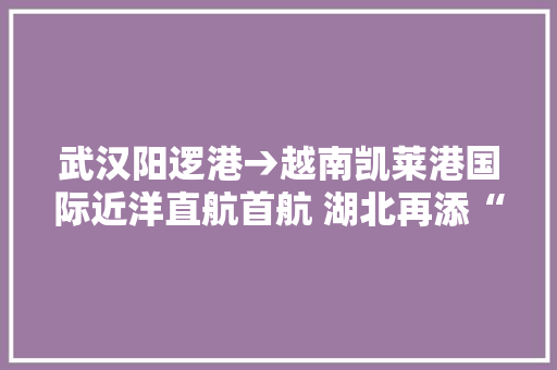 武汉阳逻港→越南凯莱港国际近洋直航首航 湖北再添“出海”新通道,航线危机。