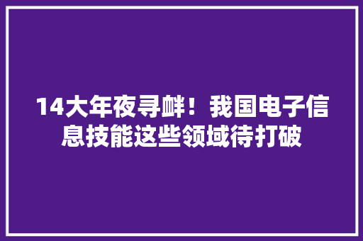 14大年夜寻衅！我国电子信息技能这些领域待打破