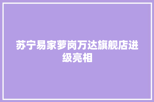 苏宁易家萝岗万达旗舰店进级亮相,苏宁易购。