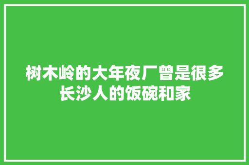 树木岭的大年夜厂曾是很多长沙人的饭碗和家 树木岭的大年夜厂曾是很多长沙人的饭碗和家 智能科技
