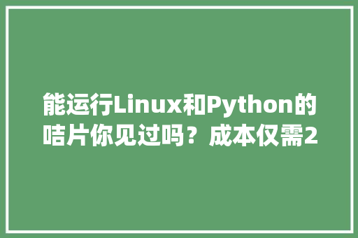 能运行Linux和Python的咭片你见过吗？成本仅需20元